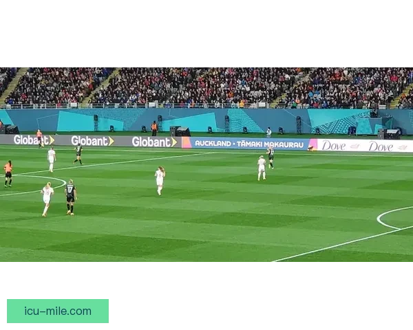 2026世界杯决赛前夕将举行全球青少年足球论坛 促进未来足球发展